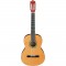 قیمت خرید فروش گیتار کلاسیک  Ibanez GA3NJP AM